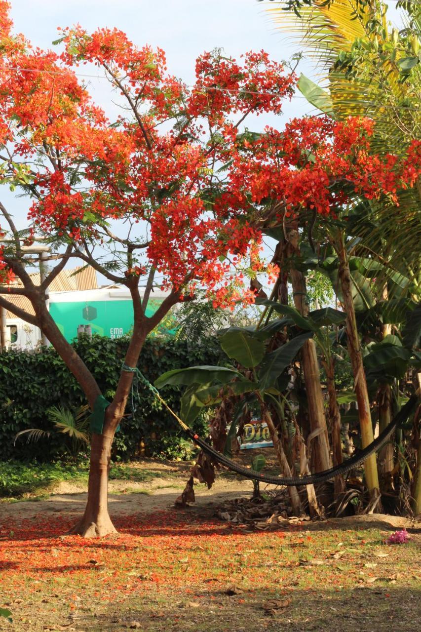 Hostal Puerto Engabao "El Surf Shelter" エクステリア 写真